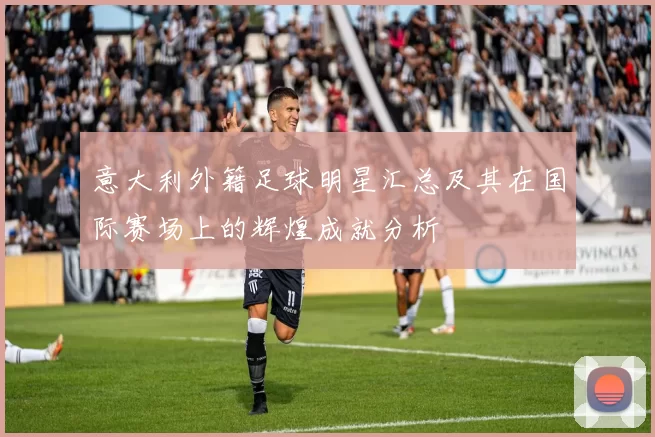 意大利外籍足球明星汇总及其在国际赛场上的辉煌成就分析