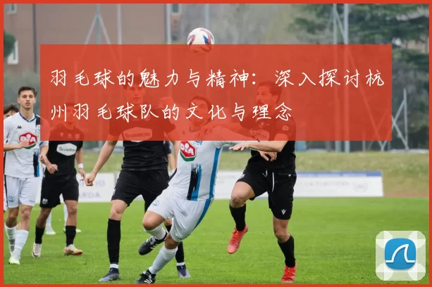 羽毛球的魅力与精神：深入探讨杭州羽毛球队的文化与理念