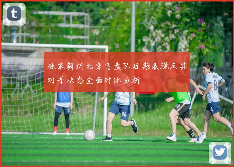 独家解析北京飞盘队近期表现及其对手状态全面对比分析