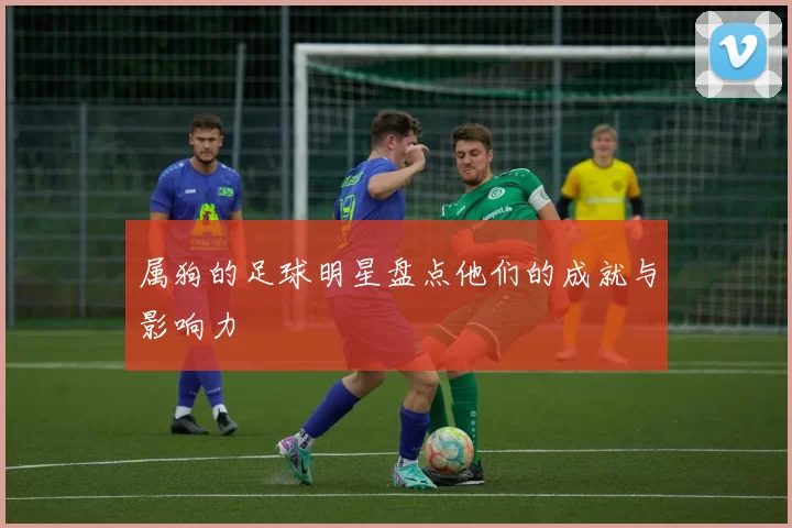属狗的足球明星盘点他们的成就与影响力