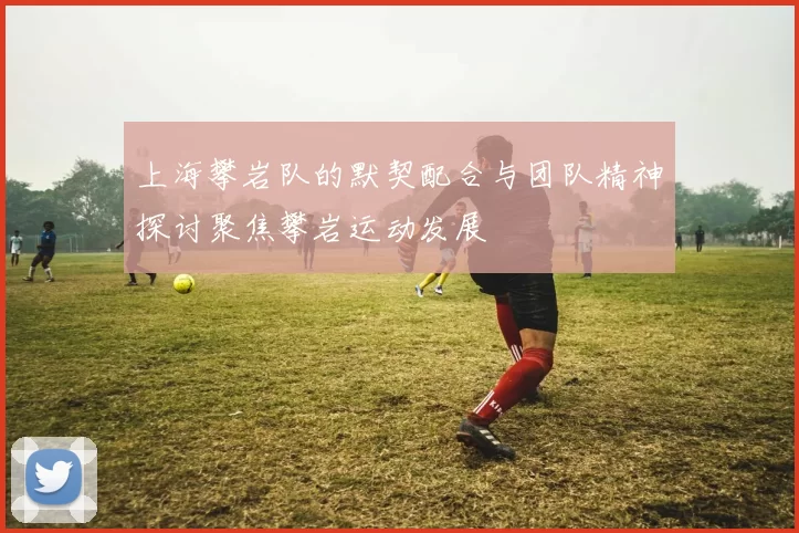 上海攀岩队的默契配合与团队精神探讨聚焦攀岩运动发展