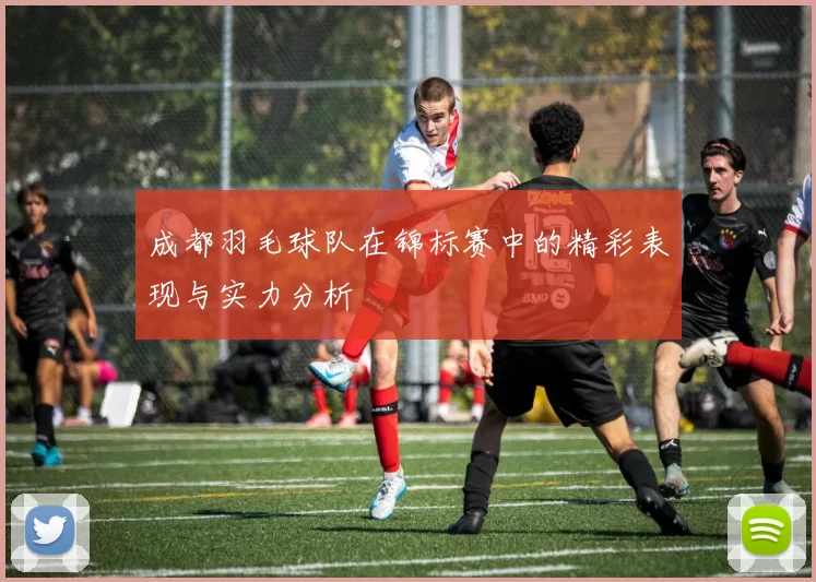 成都羽毛球队在锦标赛中的精彩表现与实力分析