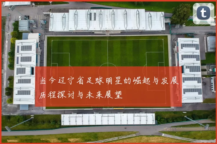 当今辽宁省足球明星的崛起与发展历程探讨与未来展望
