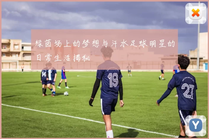 绿茵场上的梦想与汗水足球明星的日常生活揭秘
