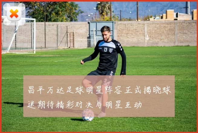 昌平万达足球明星阵容正式揭晓球迷期待精彩对决与明星互动