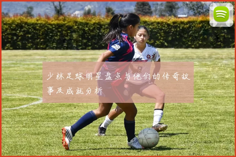 少林足球明星盘点与他们的传奇故事及成就分析