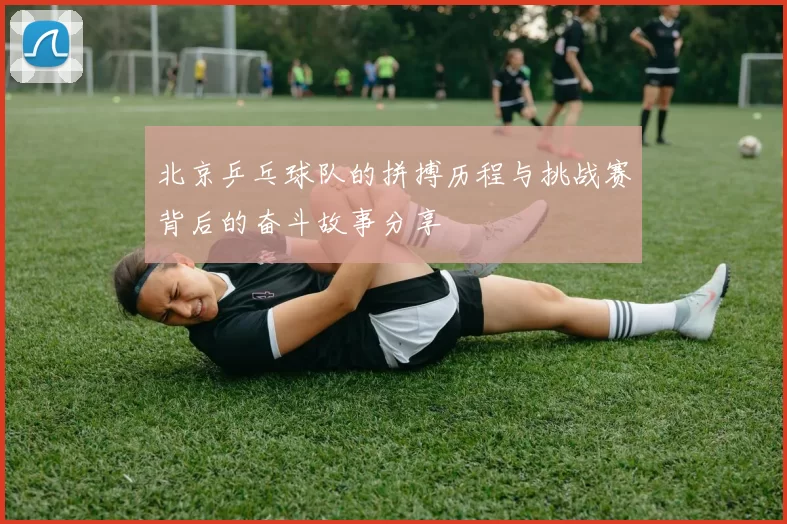 北京乒乓球队的拼搏历程与挑战赛背后的奋斗故事分享