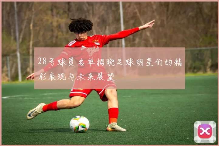 28号球员名单揭晓足球明星们的精彩表现与未来展望