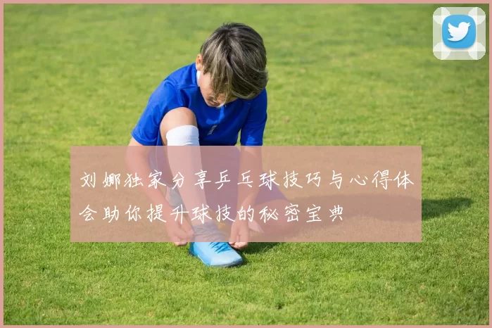 刘娜独家分享乒乓球技巧与心得体会助你提升球技的秘密宝典