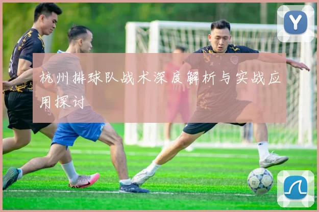 杭州排球队战术深度解析与实战应用探讨