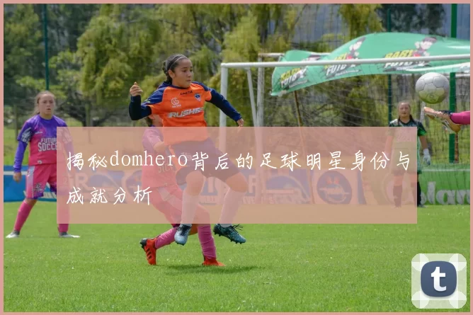 揭秘domhero背后的足球明星身份与成就分析