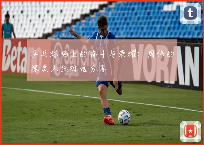 乒乓球场上的奋斗与荣耀：周伟的深度人生对话分享