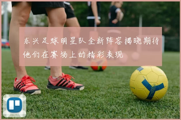 东兴足球明星队全新阵容揭晓期待他们在赛场上的精彩表现
