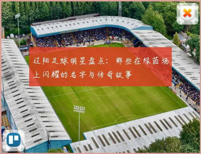 辽阳足球明星盘点：那些在绿茵场上闪耀的名字与传奇故事