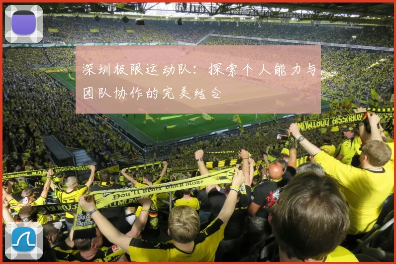 深圳极限运动队：探索个人能力与团队协作的完美结合