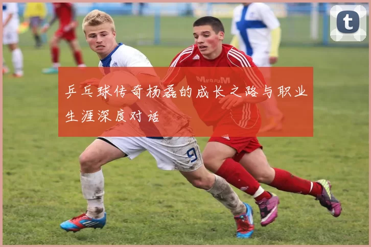 乒乓球传奇杨磊的成长之路与职业生涯深度对话