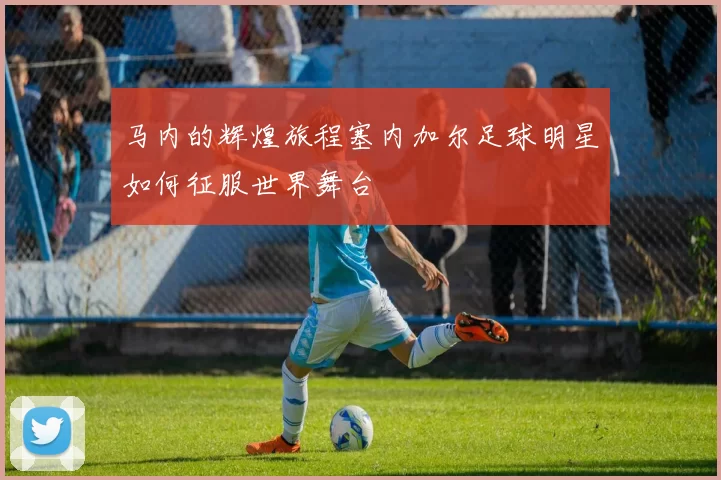马内的辉煌旅程塞内加尔足球明星如何征服世界舞台