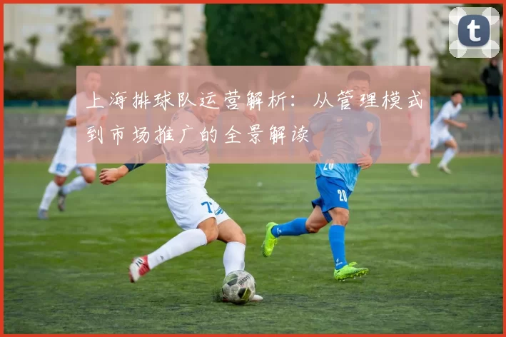 上海排球队运营解析：从管理模式到市场推广的全景解读