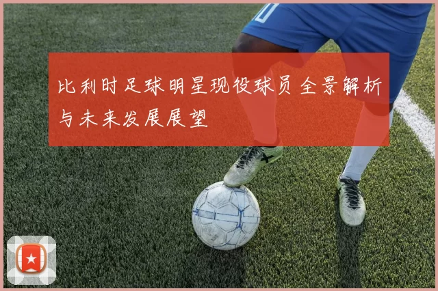 比利时足球明星现役球员全景解析与未来发展展望