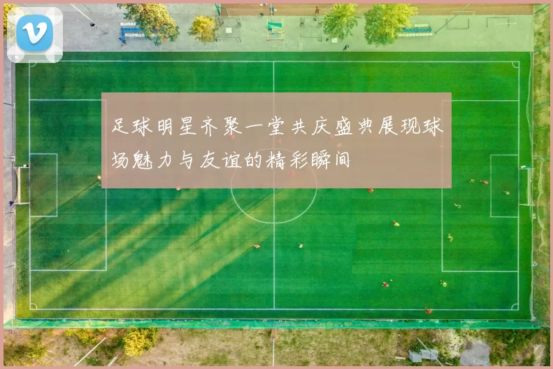 足球明星齐聚一堂共庆盛典展现球场魅力与友谊的精彩瞬间