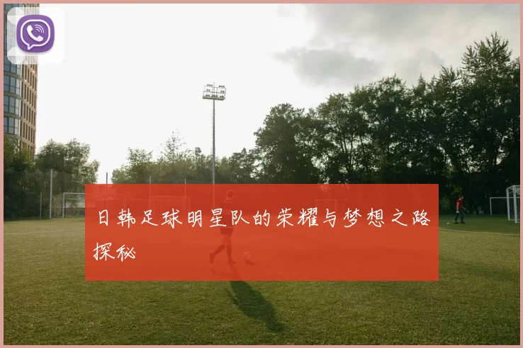 日韩足球明星队的荣耀与梦想之路探秘